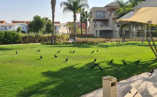 قرية العين باي السخنة - Al Ein Bay Sokhna