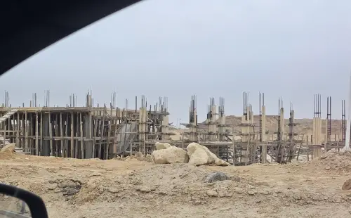 ذا مارك فيل المستقبل سيتي - The Marq Ville Mostakbal City