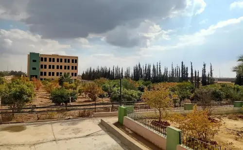 كمبوند تريو جاردنز التجمع الخامس - Trio Gardens New Cairo